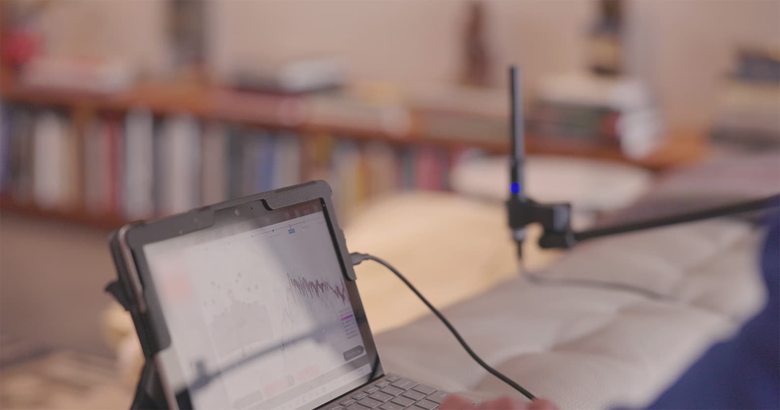 calibration microphone